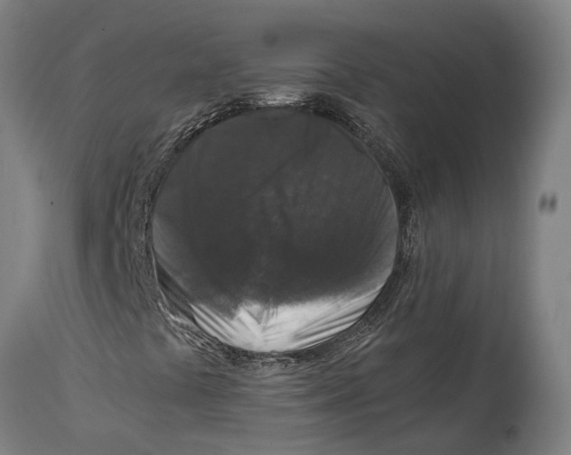 X0000114411441200911131418