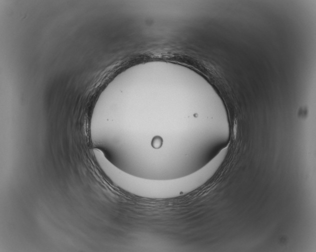 X0000114411444200911131418