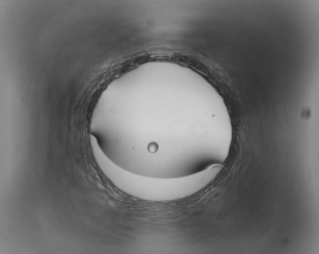 X0000114411445200911131418