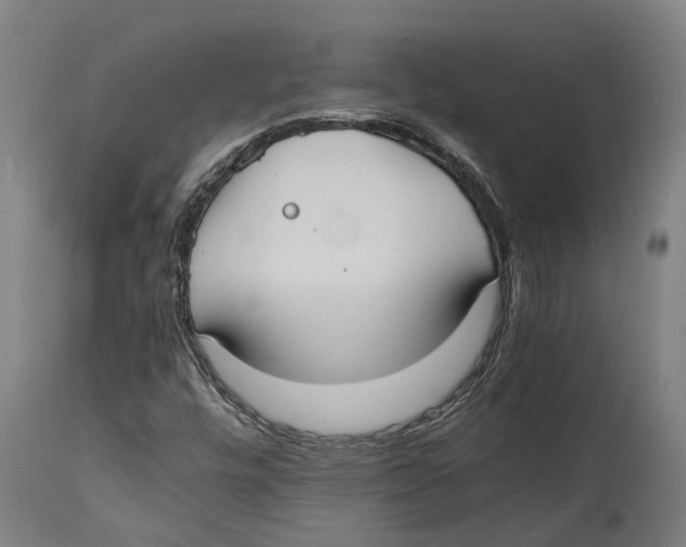 X0000114411448200911131417