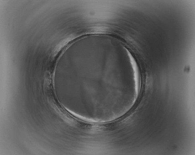 X0000114411449200911131417