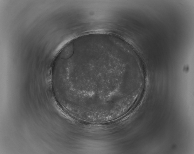 X0000114411450200911131417