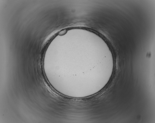 X0000114411452200911131417