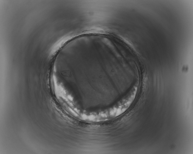 X0000114411455200911131417