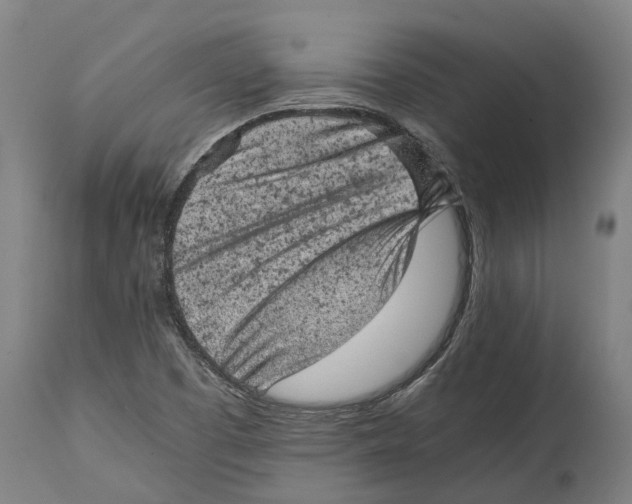 X0000114411457200911131417