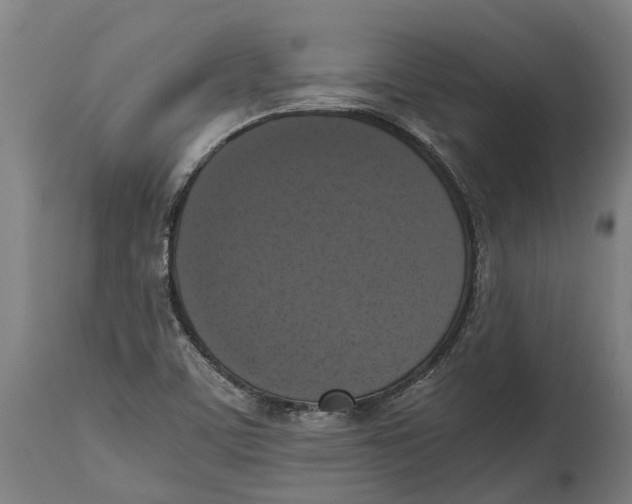 X0000114411459200911131417