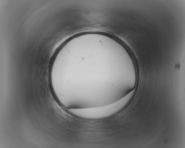 X0000114411460200911131417