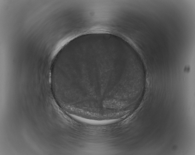 X0000114411461200911131417