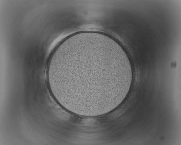 X0000114411462200911131417