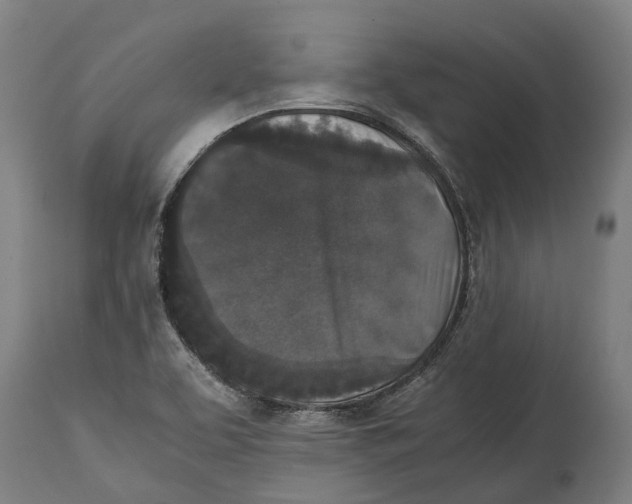 X0000114411463200911131417