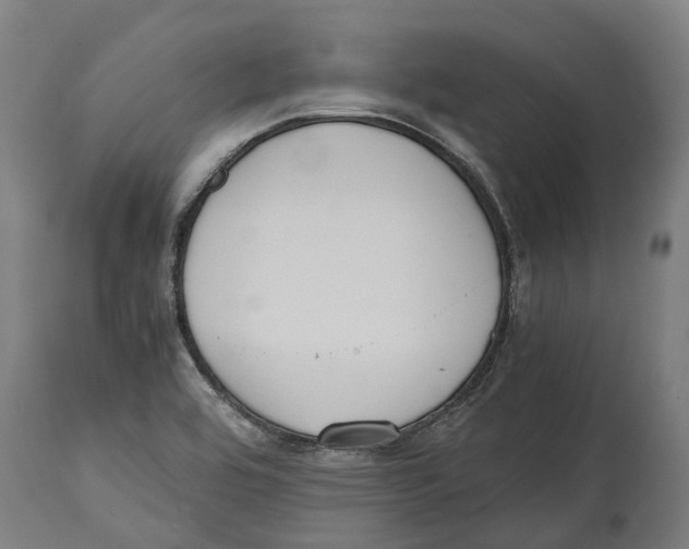 X0000114411464200911131417