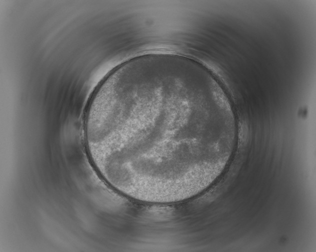 X0000114411466200911131417