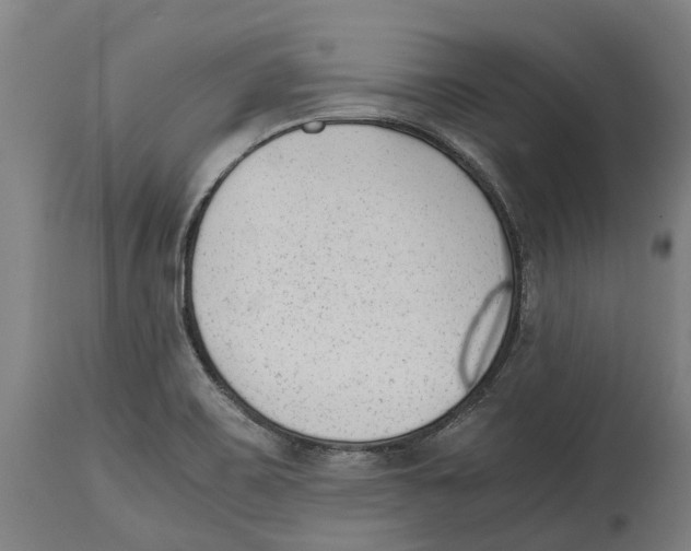 X0000114411467200911131417