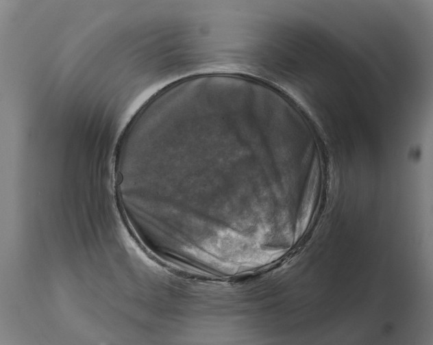 X0000114411468200911131417