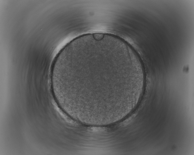 X0000114411469200911131417