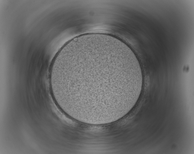 X0000114411470200911131417