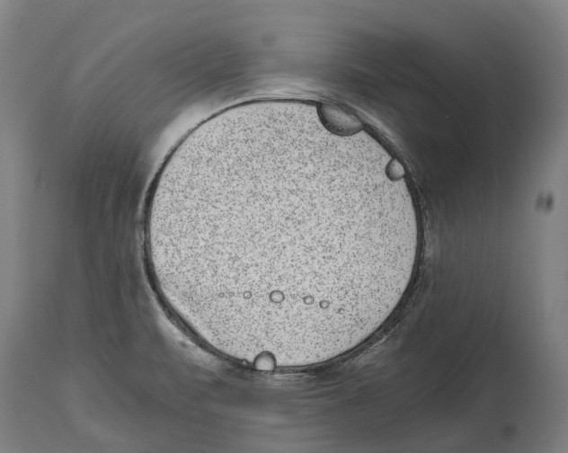 X0000114411471200911131417