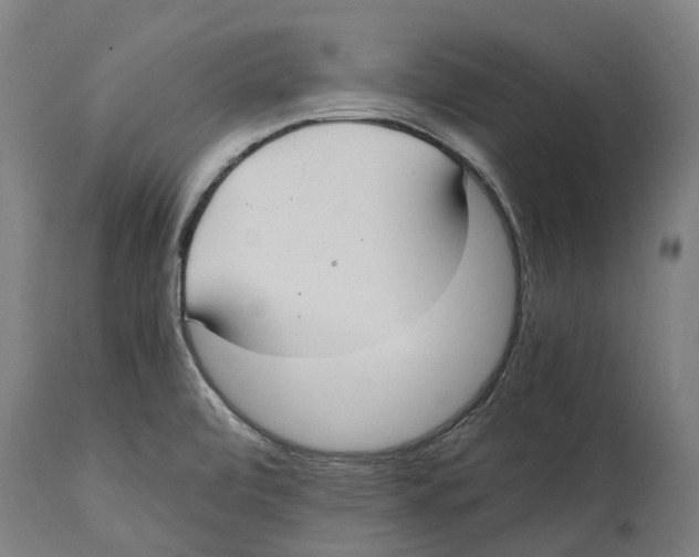 X0000114411472200911131417