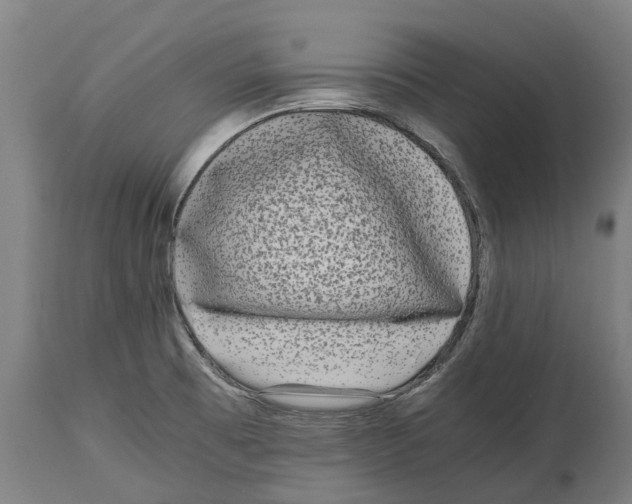 X0000114411473200911131417