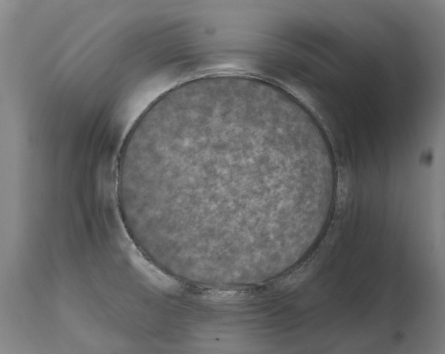 X0000114411474200911131417