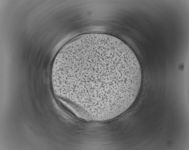 X0000114411475200911131417