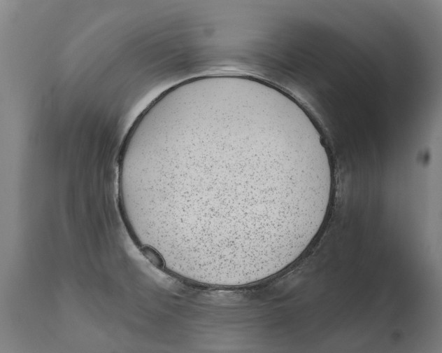 X0000114411476200911131417