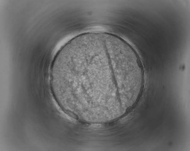 X0000114411477200911131417