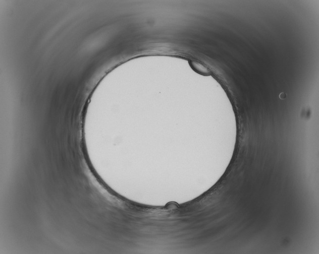 X0000114411479200911131417