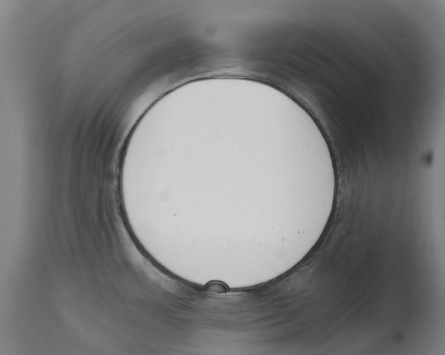 X0000114411483200911131417