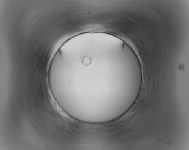 X0000114411488200911131417