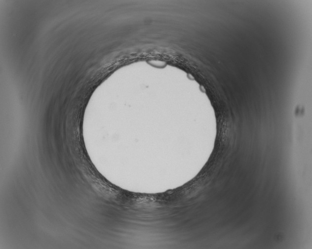 X0000114411489200911131416