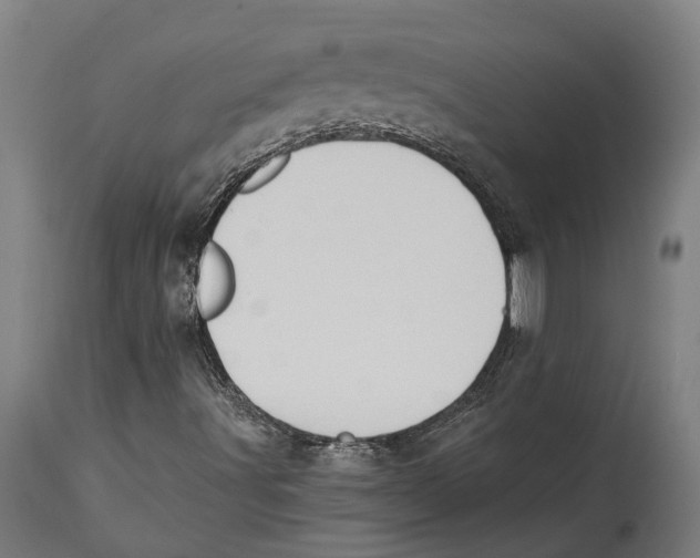 X0000114411491200911131416