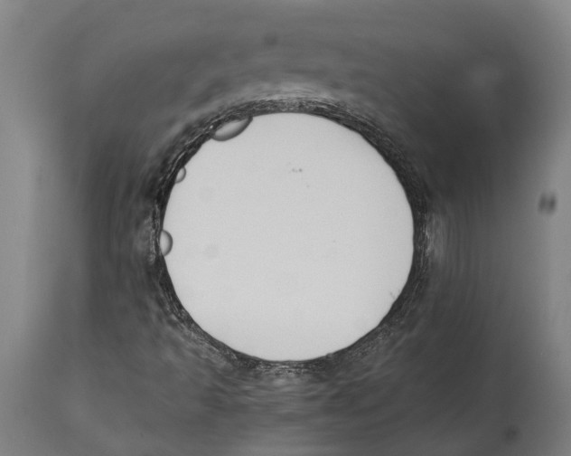 X0000114411493200911131416