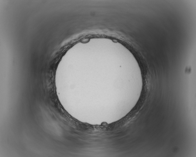 X0000114411494200911131416