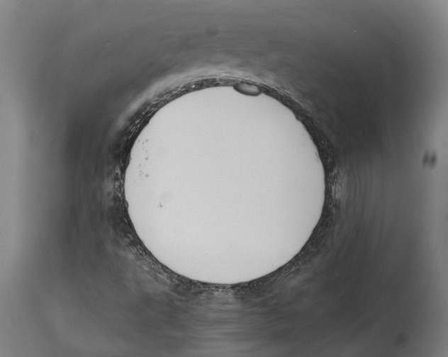 X0000114411495200911131416