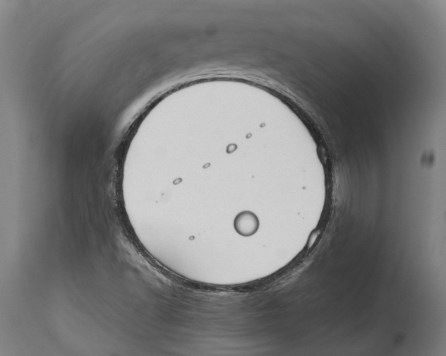 X0000114411502200911131416