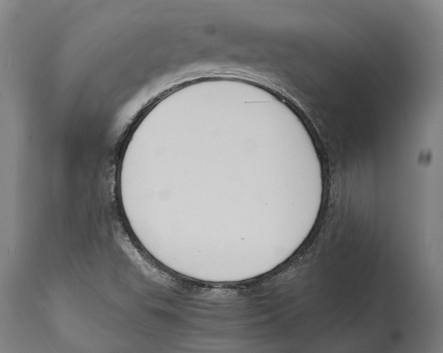 X0000114411503200911131416