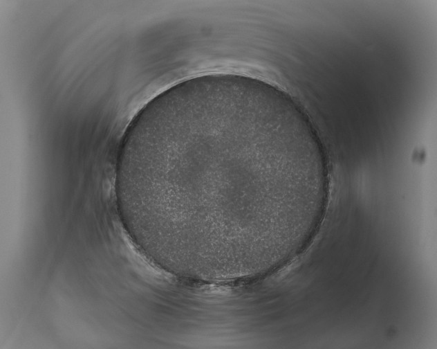 X0000114411505200911131416