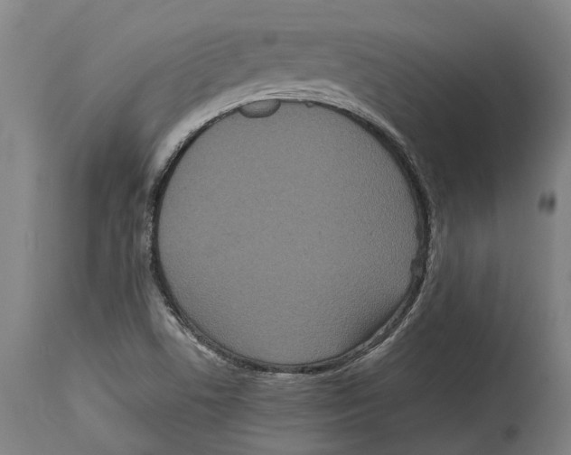 X0000114411506200911131417