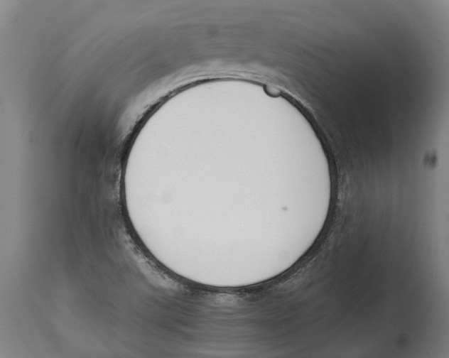 X0000114411507200911131417