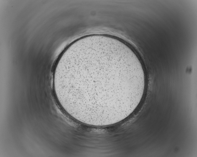 X0000114411509200911131417