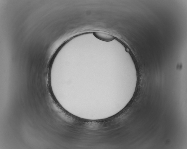 X0000114411511200911131417