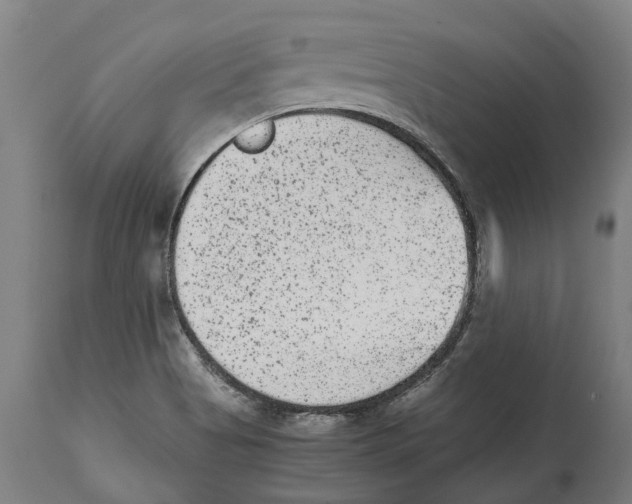 X0000114411513200911131417