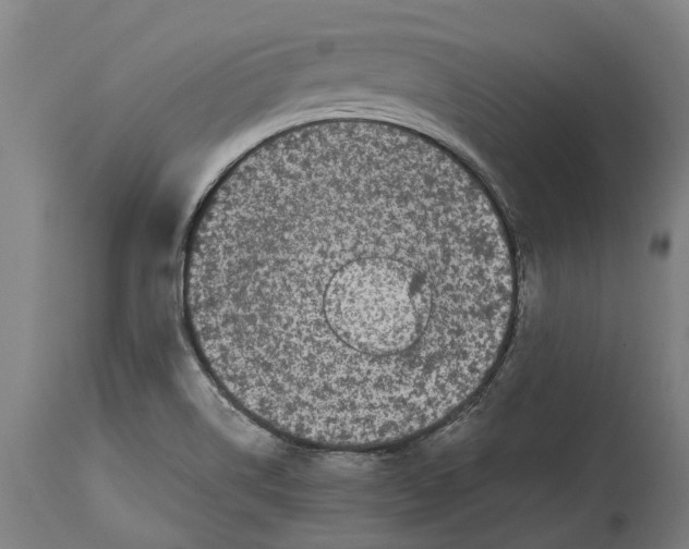 X0000114411514200911131417