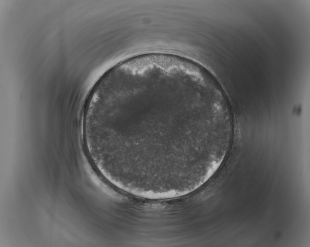 X0000114411515200911131417