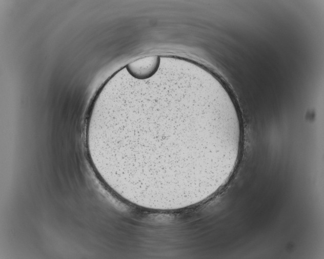 X0000114411517200911131417