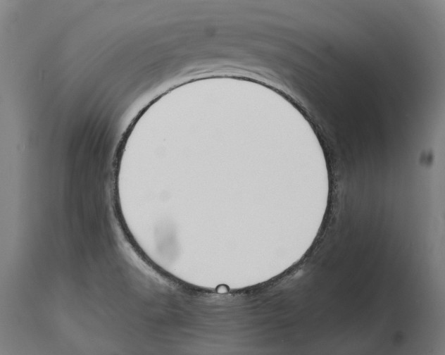 X0000114411518200911131417