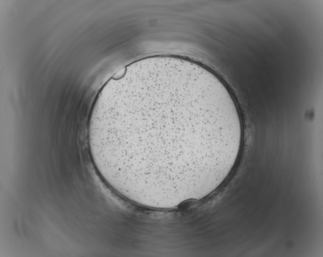 X0000114411521200911131417