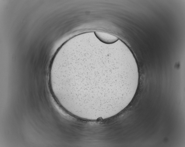 X0000114411523200911131417