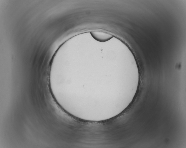 X0000114411526200911131417